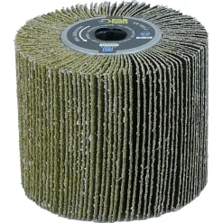 Brosse à lamelles grain 36 pour REX120/200/H200 FARTOOLS