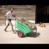 Brouette (fumier) GM 600 litres LA BUVETTE