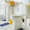 Broyeur pour WC Sanisan 1