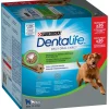 Bâtonnet pour grand chien Daily Oral Care 1,272 kg DENTALIFE