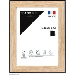 Cadre rectangulaire 30x40 cm newton noir