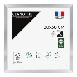 Cadre rectangulaire 30x30 cm Precious couleur acier