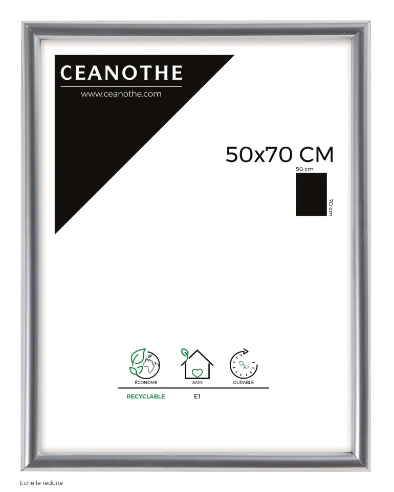 Cadre rectangulaire Gallery 50x70 cm argent