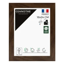 Cadre rectangulaire 18x24 cm Eternel ébène
