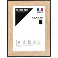 Cadre rectangulaire 50x70 cm newton noir