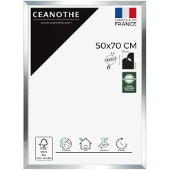 Cadre rectangulaire 50x70 cm Precious couleur acier