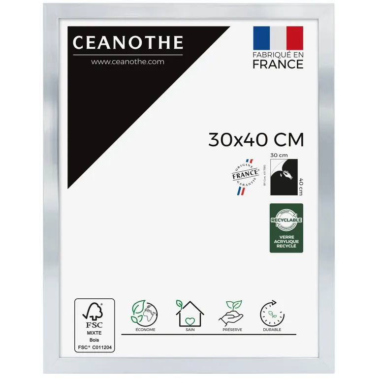 Cadre rectangulaire 30x40 cm Precious couleur acier