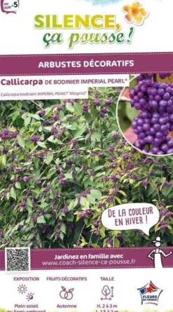 Callicarpa de Bodinier "Imperial Pearl" Pot 4L