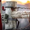 Caméra de chasse FLEX-M SPY POINT