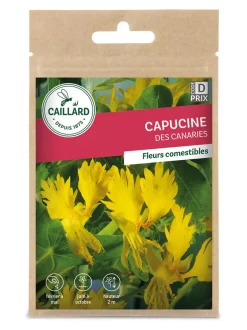 Capucine des Canaries 5g CAILLARD
