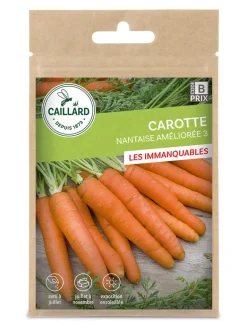 Carotte Nantaise Améliorée 6g CAILLARD