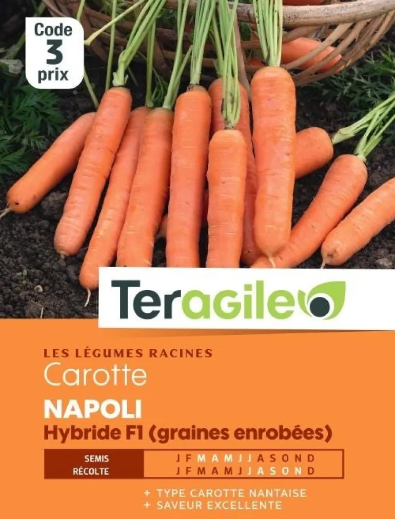 Carotte Napoli Hybride F1 (graines enrobées) x200 TERAGILE
