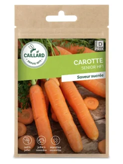 Carotte Senior Hf1 6g CAILLARD