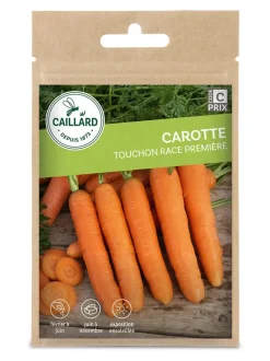 Carotte Touchon Race Première 5g CAILLARD