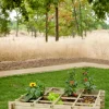 Carré potager Egine traité en pin autoclave