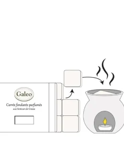 Carrés fondants parfumés pivoine sauvage GALEO