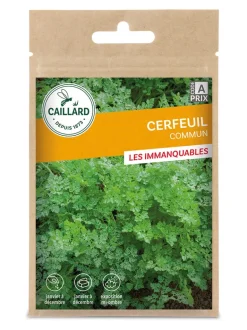 Cerfeuil Commun 5g CAILLARD