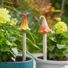 Champignon Wizard's Hat - Vendu à l'unité