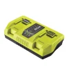 Chargeur 2 ports 36V Max Power 6,0A RYOBI