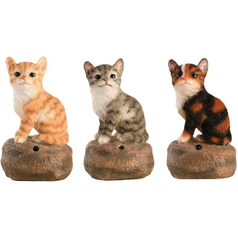 Chatons d'acceuil - Vendu à l'unité