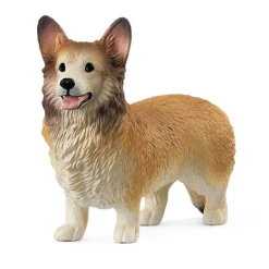 Chien Welsh Corgi