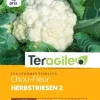 Chou-Fleur Herbstriesen 1g TERAGILE