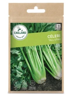 Céleri Tall Utah 1,5g CAILLARD