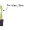 Clématite d'été "Rubra Marginata" Pot 3L
