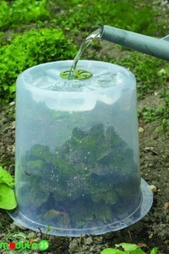 Cloche potagère à forcer Ø 35 cm