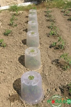 Cloche potagère à forcer Ø 35 cm