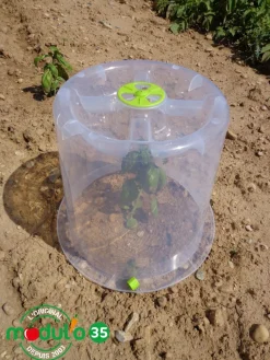 Cloches Modul'o 35 + 6 piquets offerts (x3)