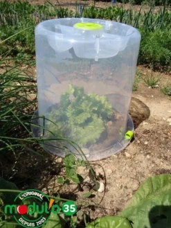 Cloches Modul'o 35 + 6 piquets offerts (x3)