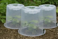 Cloches Modul'o 35 + 6 piquets offerts (x3)