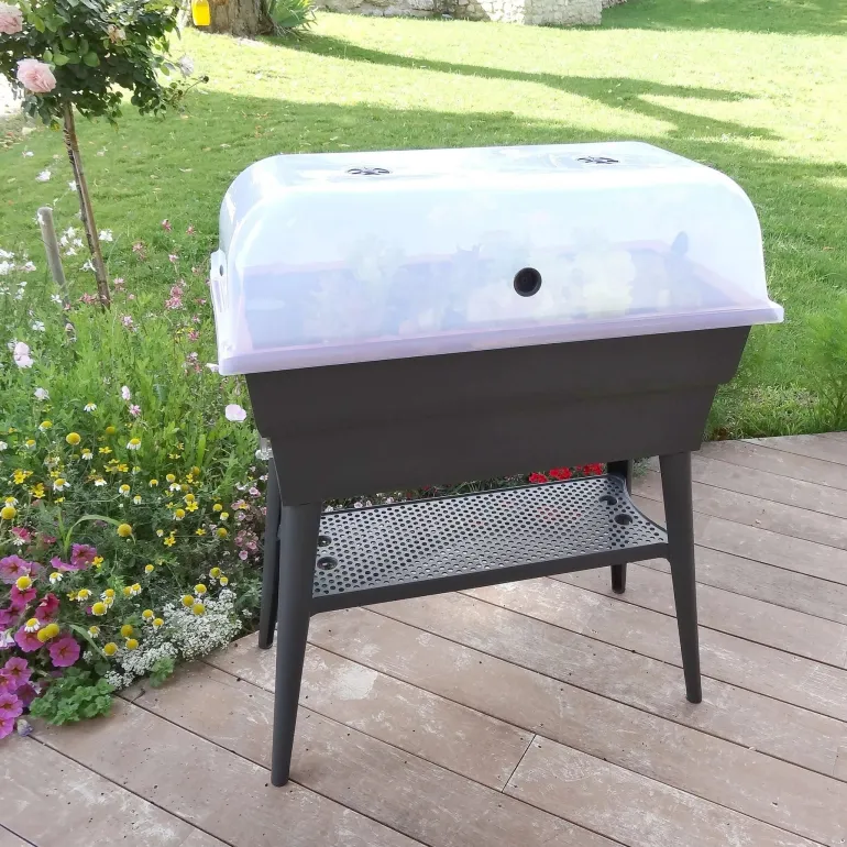 Cloche transparente pour jardinière Calipso