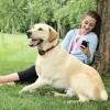 Clôture sans fil Stay and play "chien têtu" + collier