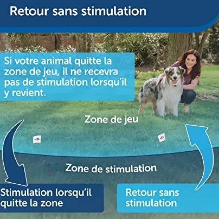 Clôture sans fil Stay and play "chien têtu" + collier