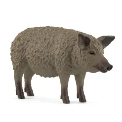 Cochon Mangalica
