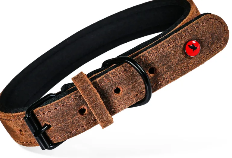 Collier pour chien cuir confort 14mm 17/24cm marron ZOLUX