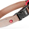 Collier pour chien nylon premium 25mm 45/50 cm mocca ZOLUX