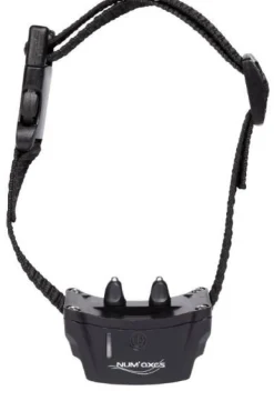 Collier supplémentaire Canifugue NUM'AXES