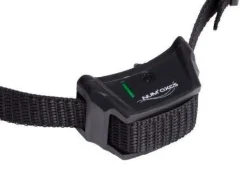 Collier supplémentaire Canifugue NUM'AXES