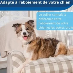 Collier anti-aboiement à spray rechargeable PETSAFE