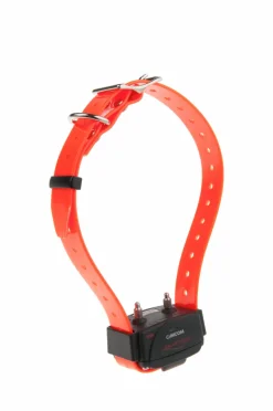 Collier de dressage avec stimulation Canicom orange NUM'AXES