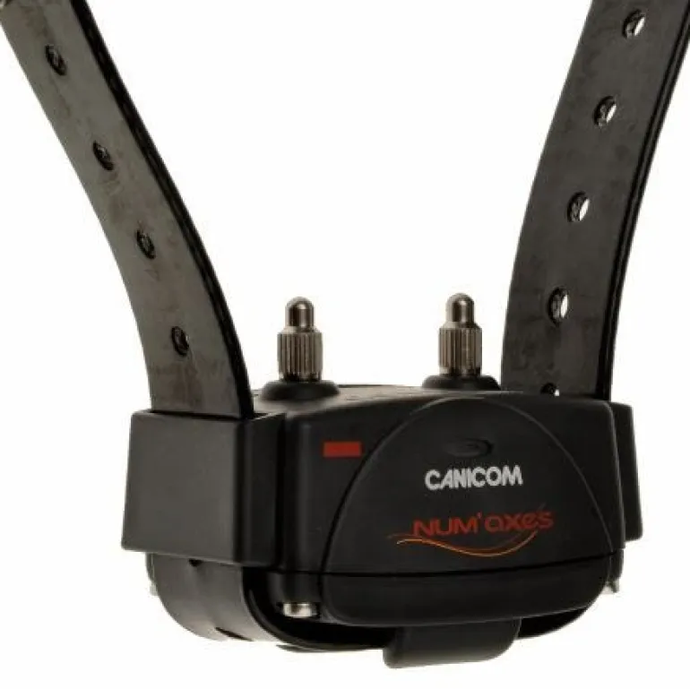 Collier de dressage avec stimulation Canicom noir NUM'AXES