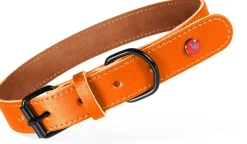 Collier pour chien cuir classique 14mm 19/24cm fauve ZOLUX