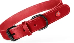 Collier pour chien cuir classique 25mm 39/49 cm grenat ZOLUX