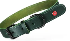Collier pour chien cuir classique 14mm 24/31cm vert ZOLUX