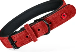 Collier pour chien cuir confort 16mm 29/36cm rouge ZOLUX
