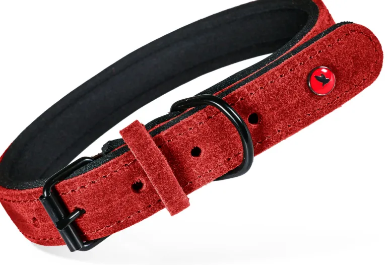 Collier pour chien cuir confort 16mm 29/36cm rouge ZOLUX