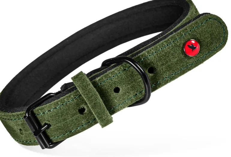 Collier pour chien cuir confort 30mm 63/74 cm vert ZOLUX